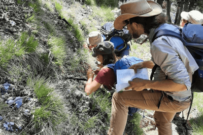 Agrandir l'image 4 sur 4, fenêtre modale