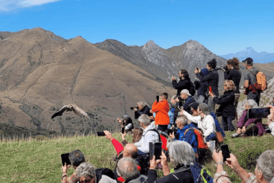 Agrandir l'image 1 sur 4, fenêtre modale