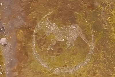 Agrandir l'image 2 sur 3, fenêtre modale