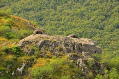 Fort de Castillon : vue extérieure des blocs de combat - Agrandir l'image 1 sur 8, fenêtre modale