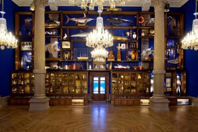 Le cabinet de curiosités de Mark Dion au Musée Océanographique de Monaco - Agrandir l'image 2 sur 7, fenêtre modale