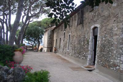Jardins du musée de la Castre, Cannes - Agrandir l'image 3 sur 5, fenêtre modale
