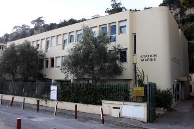 Le bâtiment Jean Maetz, le plus récent des immeubles occupés par le personnel de l’OOV - Agrandir l'image 10 sur 10, fenêtre modale