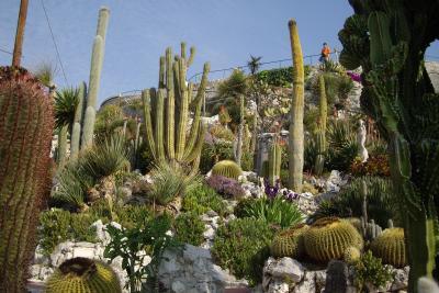 Jardin exotique d’Eze - Agrandir l'image 3 sur 13, fenêtre modale