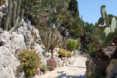 Jardin exotique de Monaco - Agrandir l'image 5 sur 13, fenêtre modale