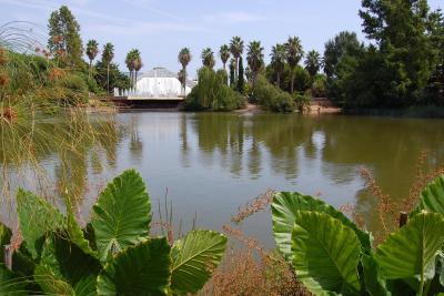 Le diamant vert au Parc Phoenix à Nice - Agrandir l'image 6 sur 13, fenêtre modale