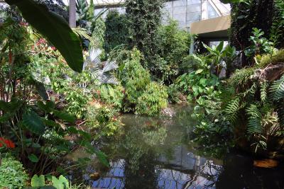 Le diamant vert au Parc Phoenix à Nice - Agrandir l'image 7 sur 13, fenêtre modale