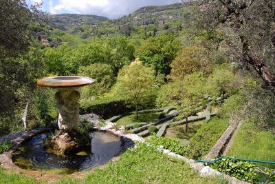 Jardin de la villa Noailles à Grasse - Agrandir l'image 11 sur 13, fenêtre modale