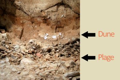 Vue de la coupe stratigraphique de la grotte du Lazaret - Agrandir l'image 3 sur 7, fenêtre modale