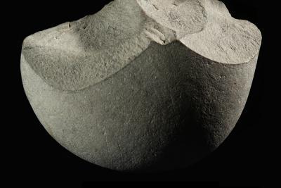 Outil, collection Musée de Terra Amata - Agrandir l'image 4 sur 7, fenêtre modale