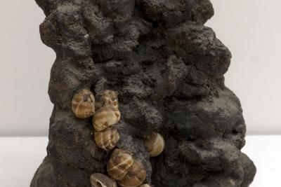 Sans titre, Claude Gilli et André Verdet, non daté, terre cuite et coquilles d’escargots, 36 x 30 x 20 cm.  - Agrandir l'image 4 sur 4, fenêtre modale