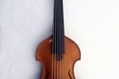 Viole d’amour, J.F. Guidanti, (Bologne, 1717) - Legs Gautier. - Agrandir l'image 1 sur 4, fenêtre modale
